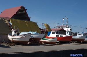 die Werft kann nicht nur GROSSE Schiffe