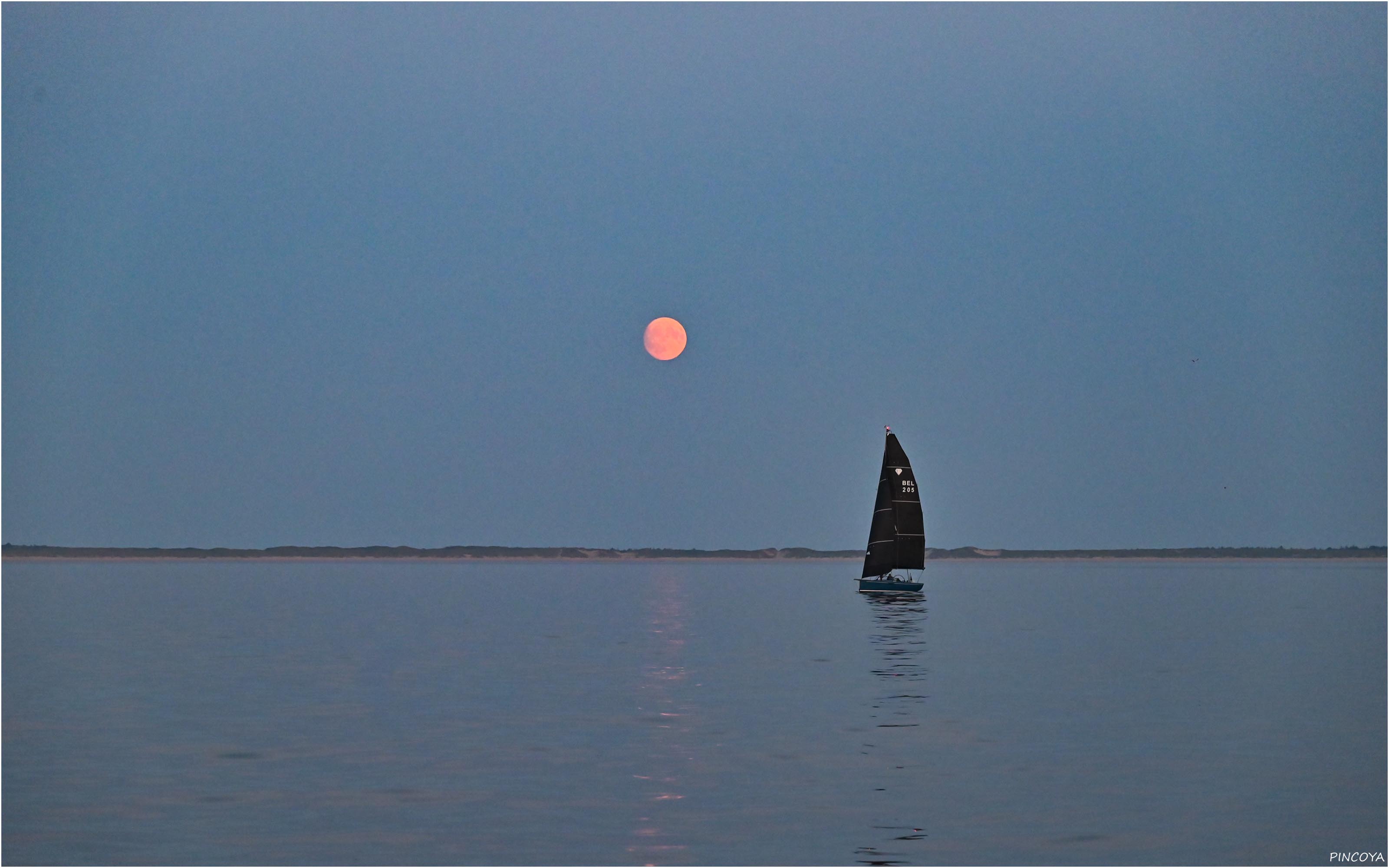 „Dafür gibt es einen wunderbaren Vollmond.“