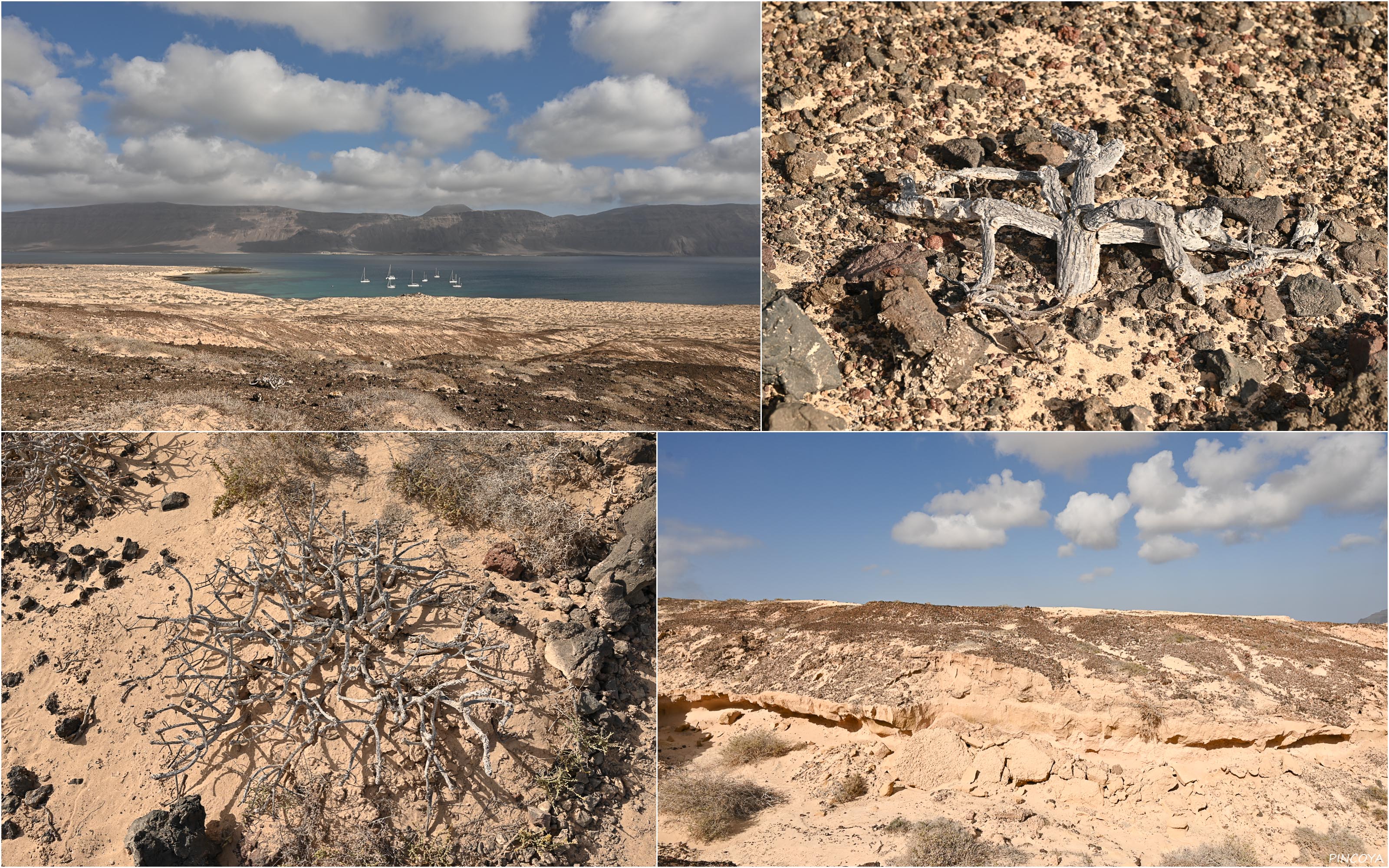 „Die Isla Graciosa ist schon ziemlich trocken.“