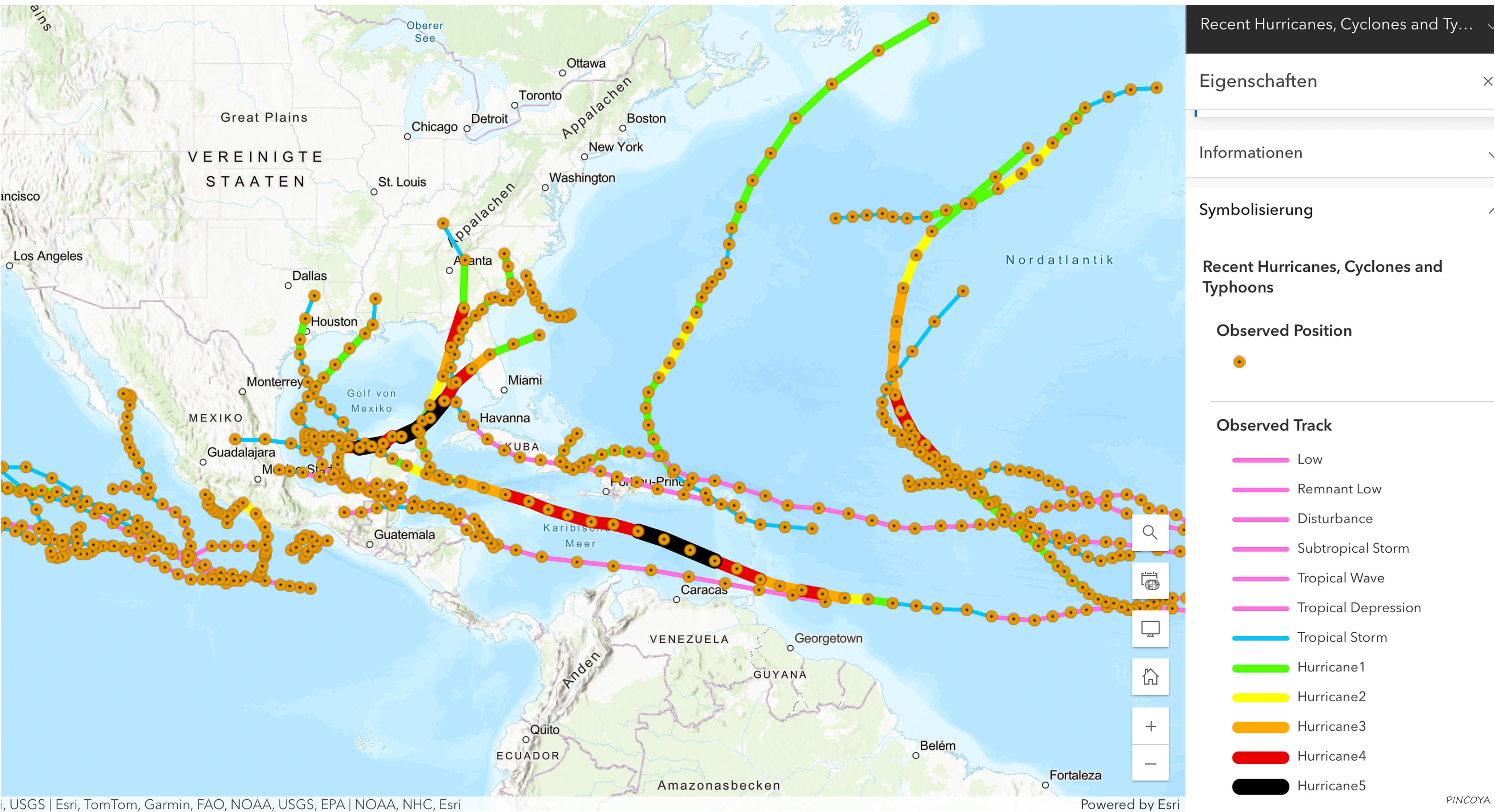 „Die Hurricanes 2024.“