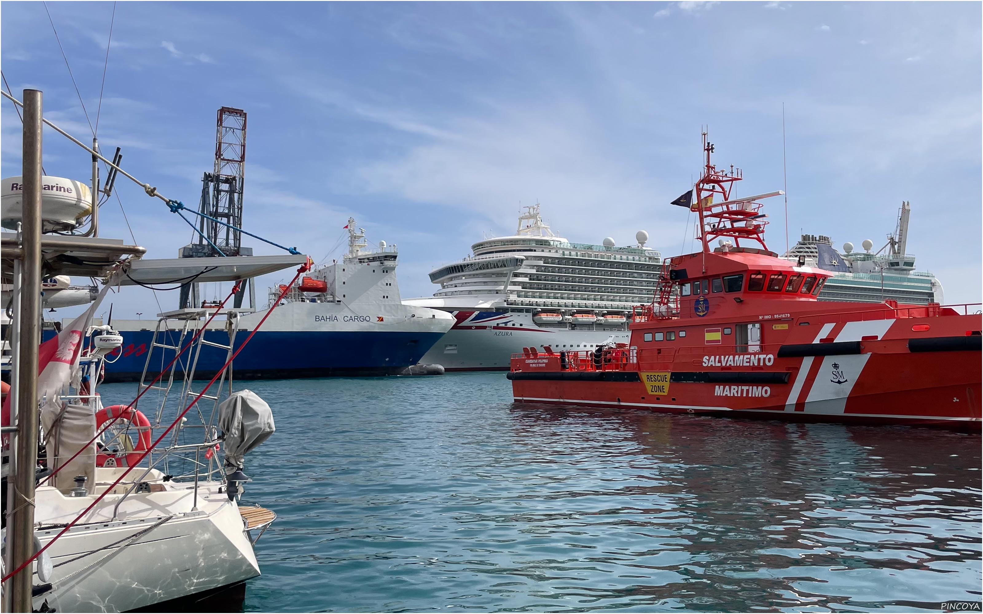 „Ab und an wird es im Hafen voll, auch auf der Container-Seite macht dann ein Kreuzfahrer fest.“