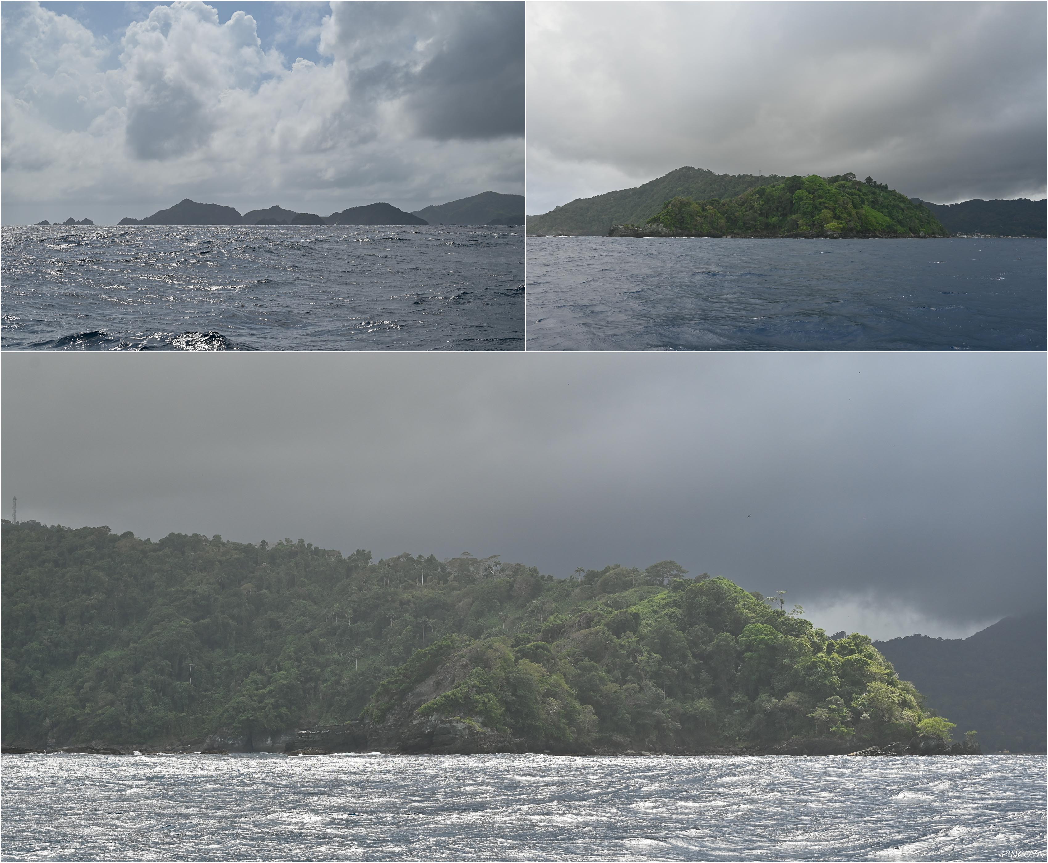 „Die grünen Hänge von Tobago“