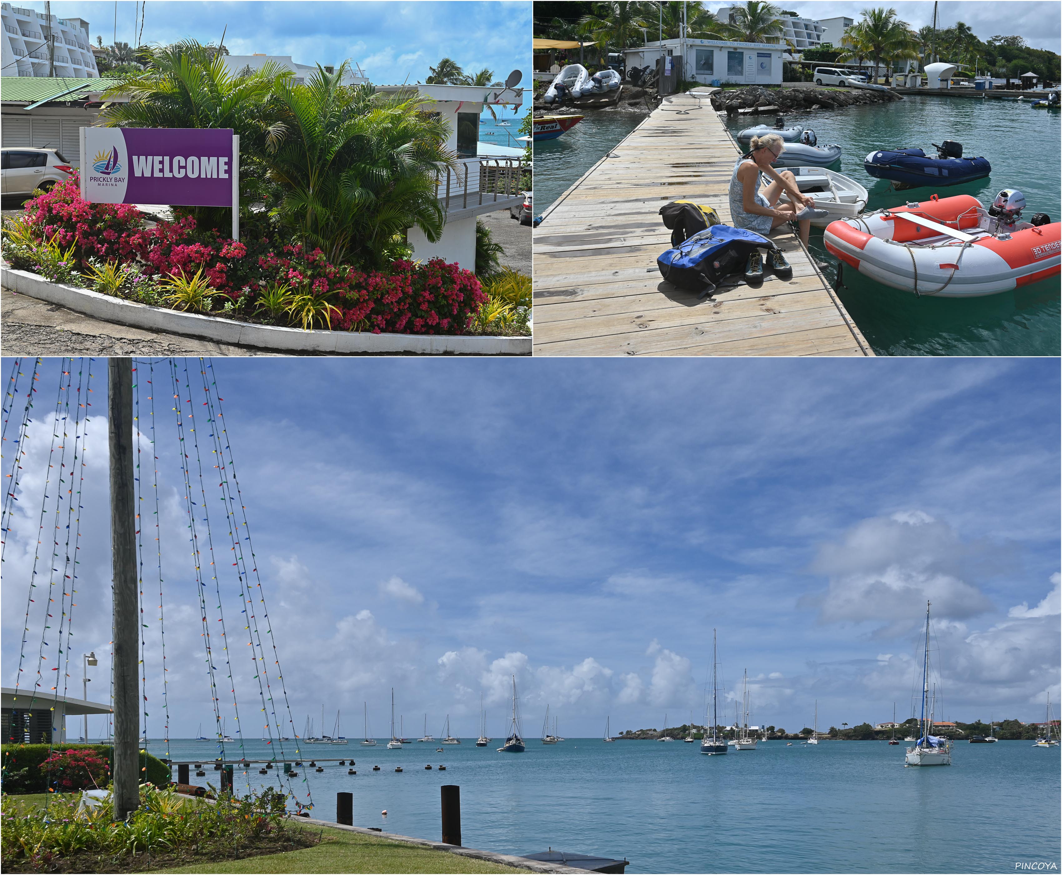 „Einchecken an der Prickly Bay Marina“