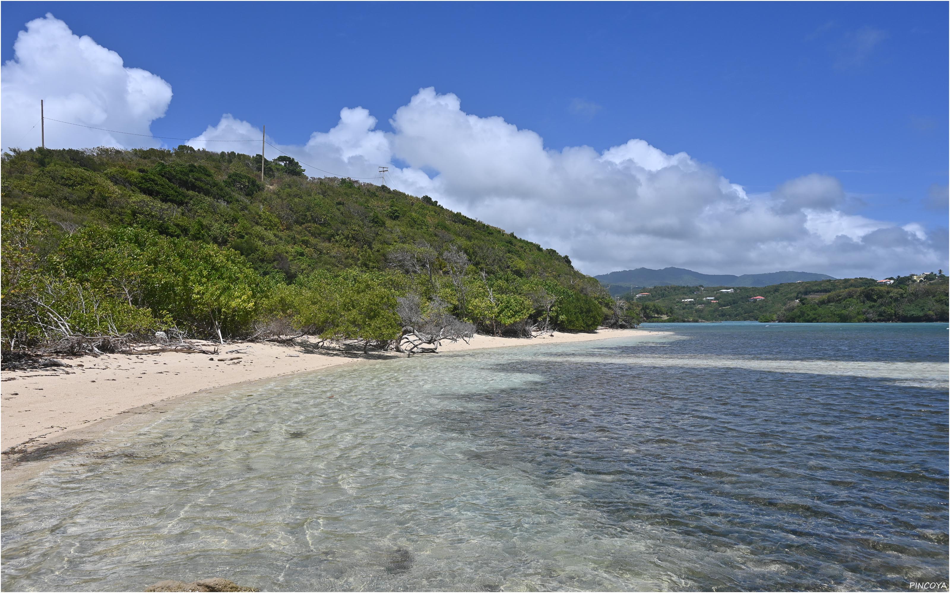 „Der kleine Strand am Eingang von Egmont Harbour“